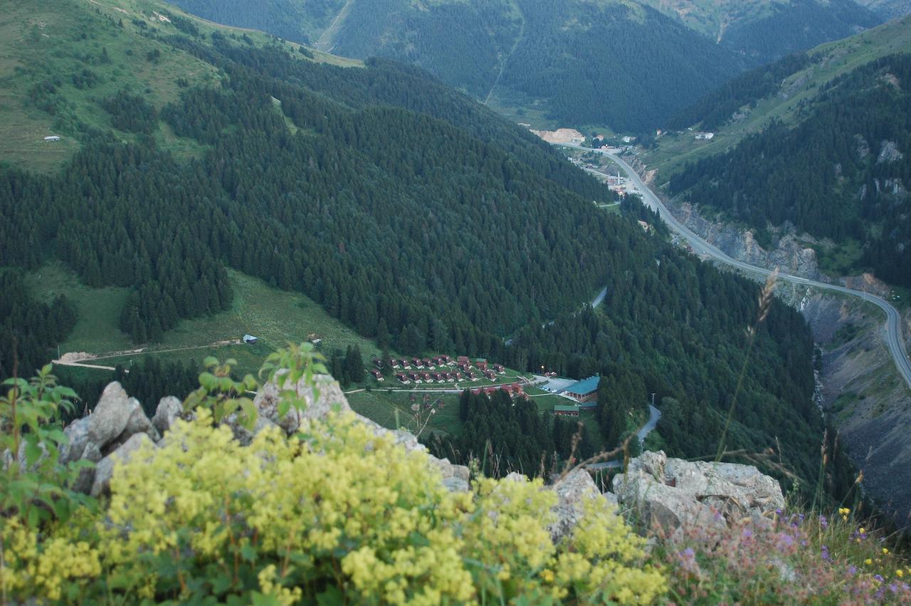 Zitas Zigana Yayla Tatil Koyu Macka Luaran gambar