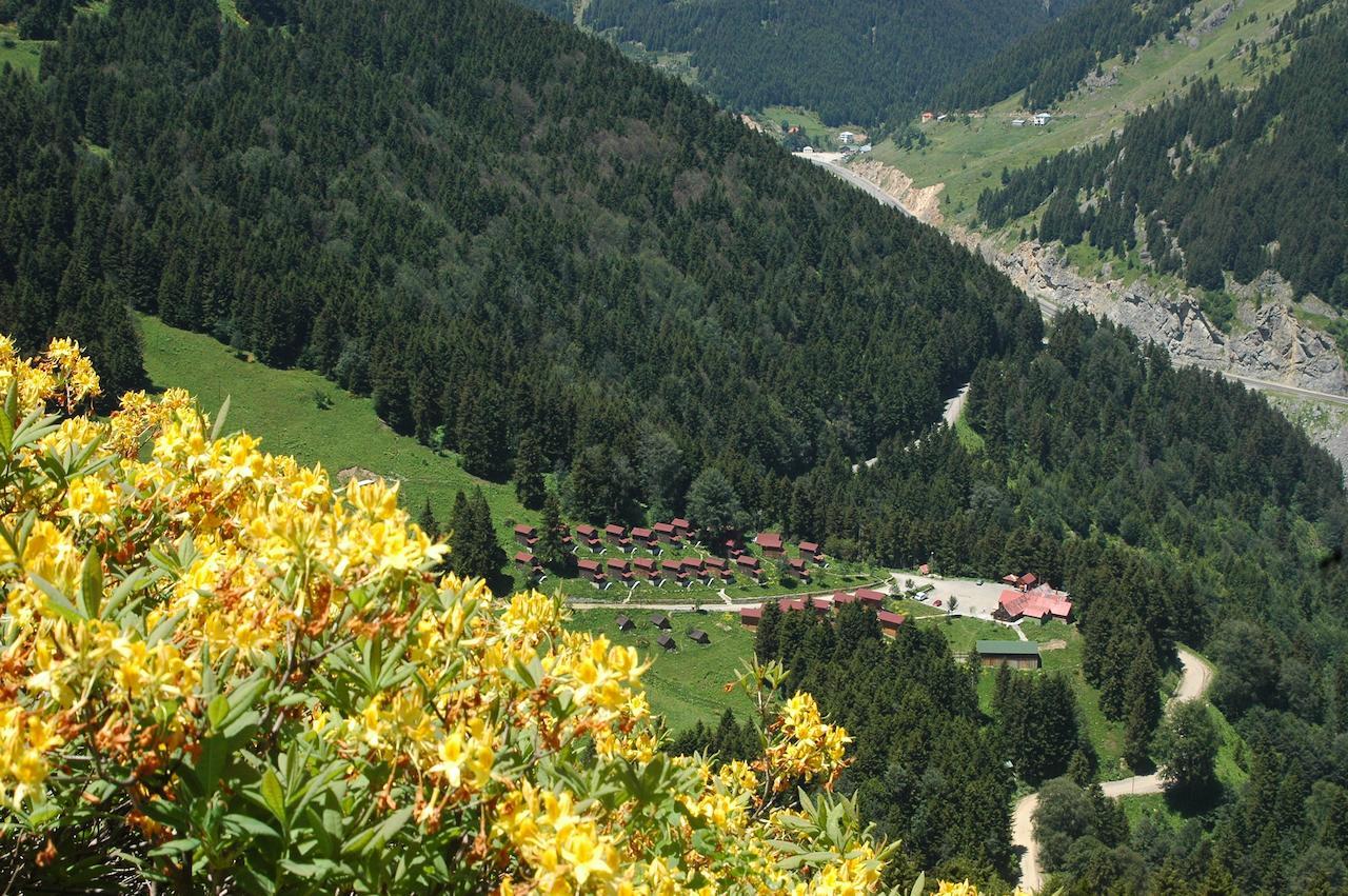 Zitas Zigana Yayla Tatil Koyu Macka Luaran gambar