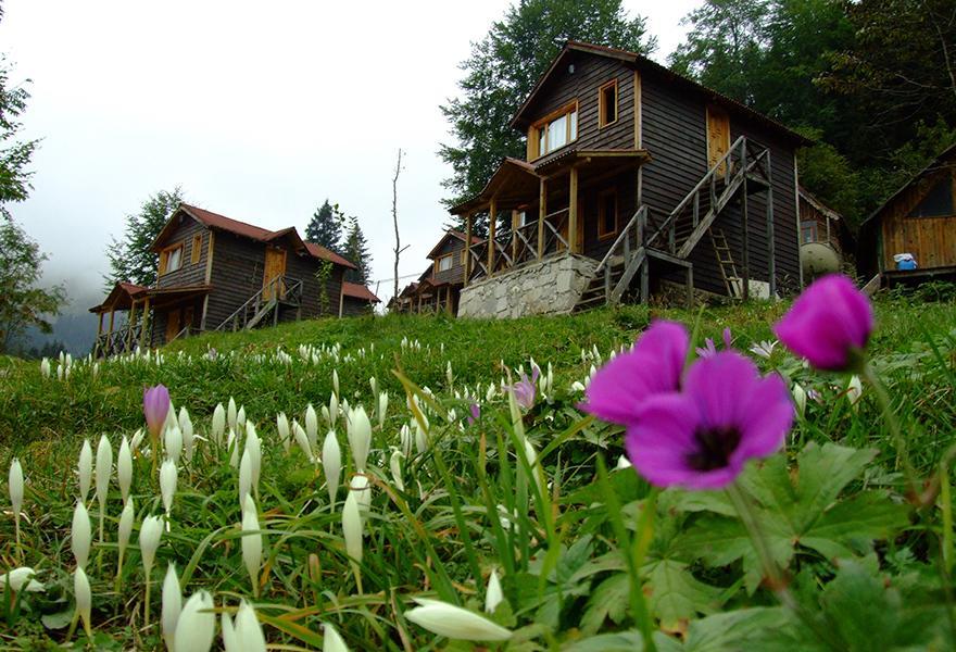 Zitas Zigana Yayla Tatil Koyu Macka Luaran gambar