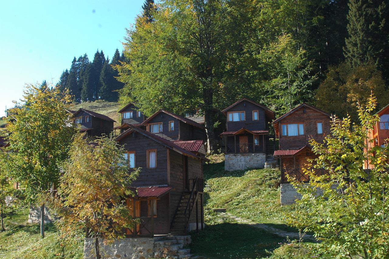 Zitas Zigana Yayla Tatil Koyu Macka Luaran gambar