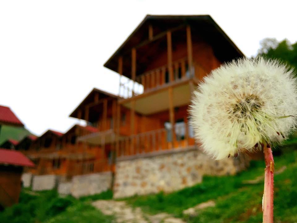 Zitas Zigana Yayla Tatil Koyu Macka Luaran gambar
